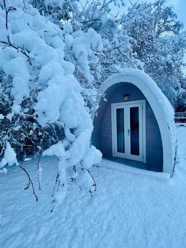 Egn Boutique Hotel Стеге Экстерьер фото