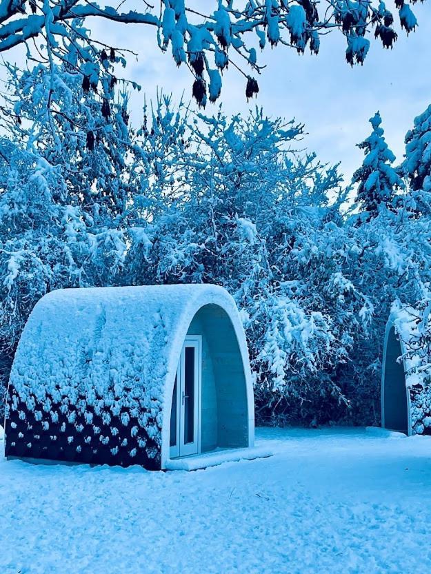 Egn Boutique Hotel Стеге Экстерьер фото